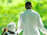 �ΐ쌧������,�����ی�,���Q�ی�